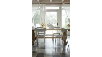 Sedia Catwalk di Kartell