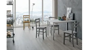 Sedia Salvador con struttura in legno verniciato e seduta in morbida microfibra effetto velluto di Target Point