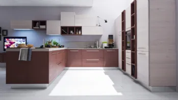 Cucina Moderna angolare Zenzero in Rovere laccato Vinaccia di Arrex